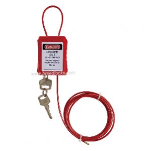 Adjustable Cable Lockout with Built-in Lock Cylinder and Label